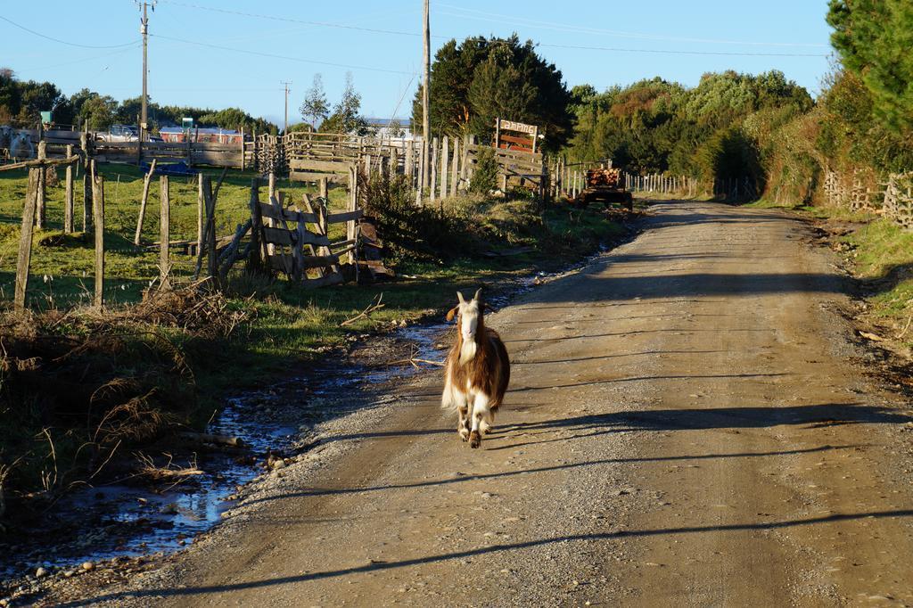 Cabanas Vista Tranquila Chiloe Кастро Экстерьер фото